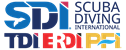 SDI TDI ERDI PFI 标志
