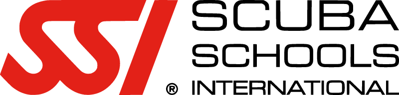 SSI 标志